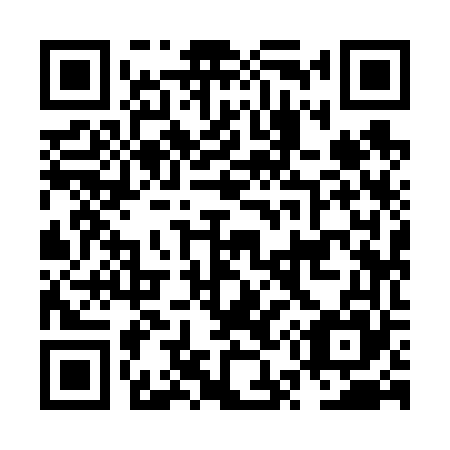 QR code for plate NU 9665