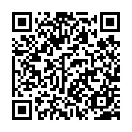 QR code for plate NUL 607