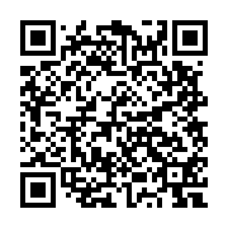 QR code for NUR 510