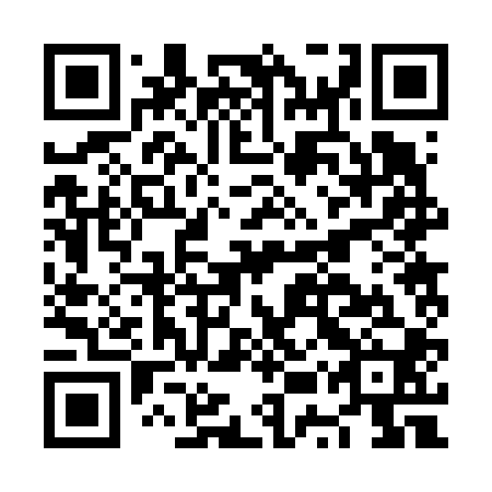 QR code for plate NUR 600