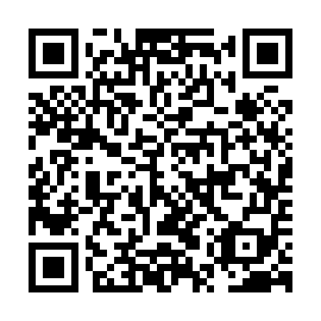 QR code for plate NUS 859