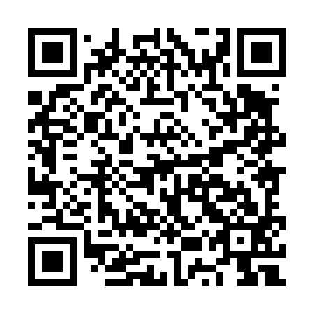 QR code for NUX 493