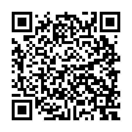 QR code for plate NUX 383