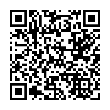 QR code for NV 3381