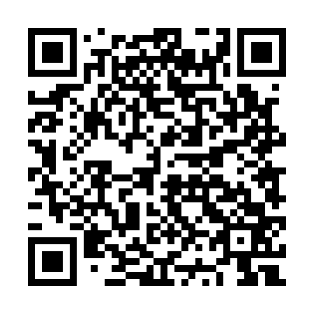QR code for NV 4163