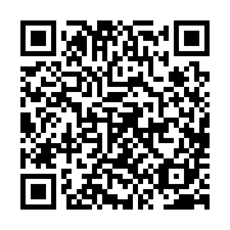 QR code for NV0381