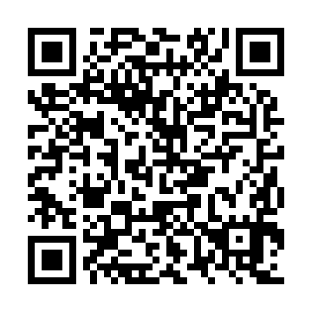 QR code for NV2995