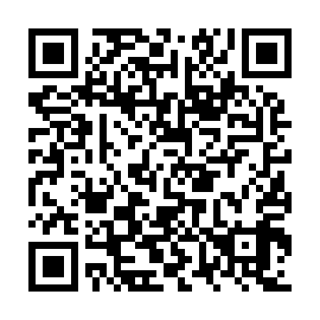 QR code for plate NV 6919
