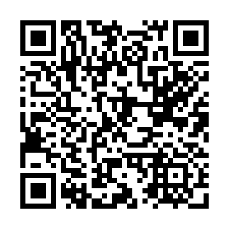 QR code for NV8333