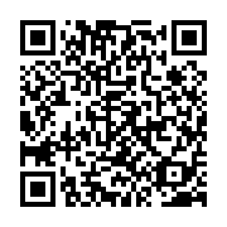 QR code for plate NV 9119