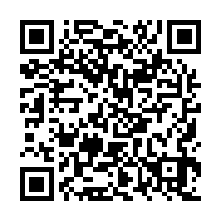 QR code for plate NV 9133