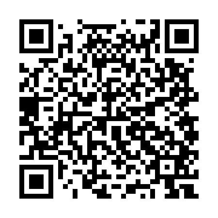 QR code for NVF 541