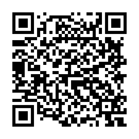 QR code for plate NVI 813