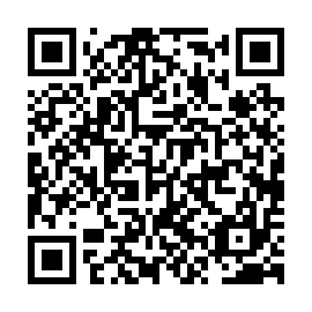 QR code for NVP 217