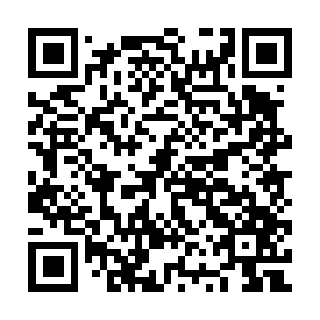 QR code for NVP 447
