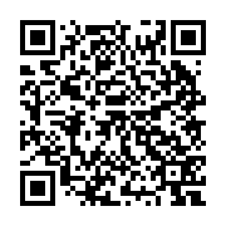 QR code for plate NVP 273