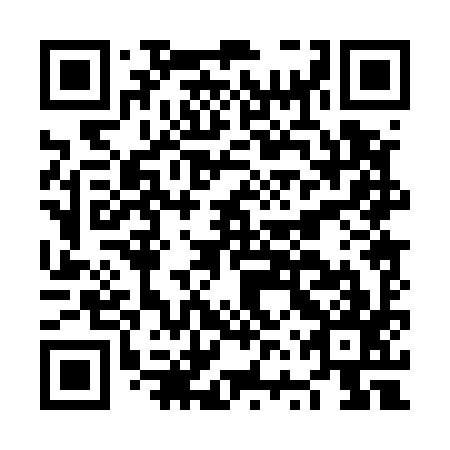 QR code for plate NVP 597