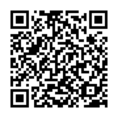 QR code for NVS 919