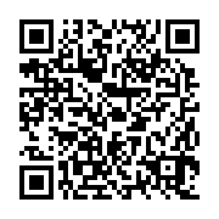 QR code for plate NWB 382