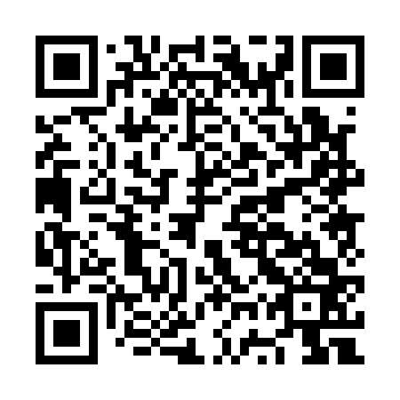 QR code for plate NWP 163