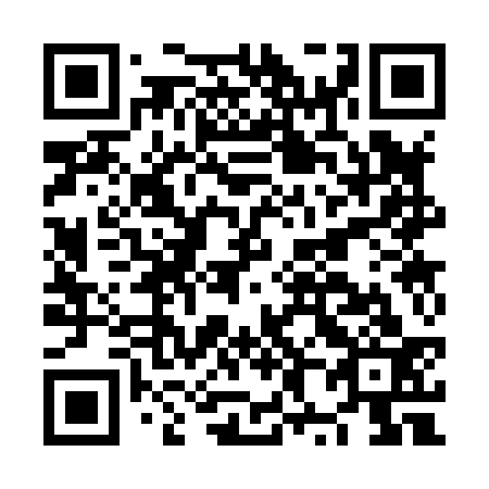 QR code for plate NX 3833