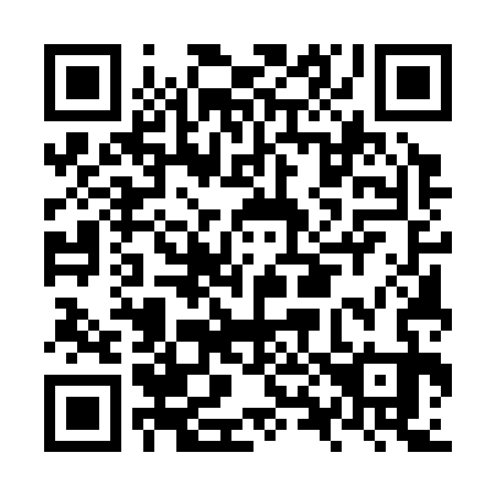 QR code for NX5333