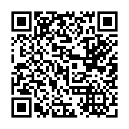 QR code for plate NXM 336