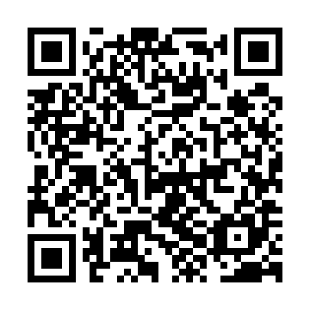 QR code for plate NXM 585