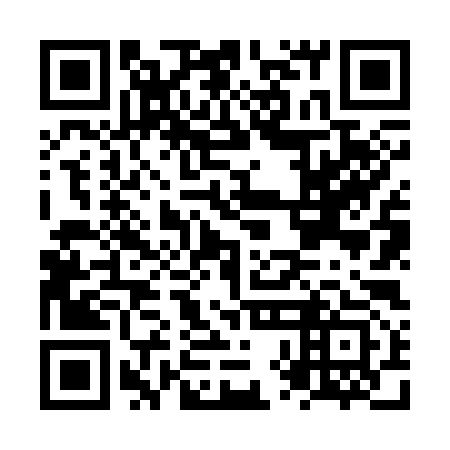 QR code for plate NXN 393