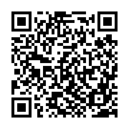QR code for plate NXN 666
