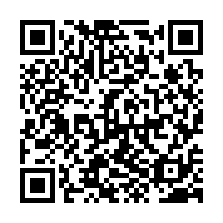 QR code for NXO 311