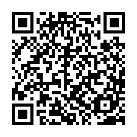 QR code for plate NXP 245