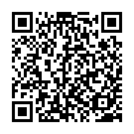 QR code for NXS 381