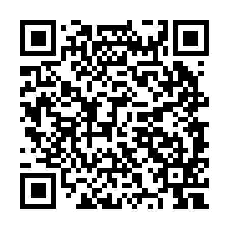 QR code for NXT 295