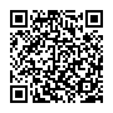 QR code for plate NXX 870