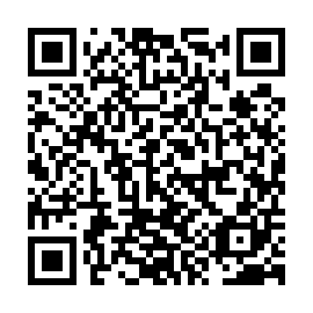 QR code for NY 9500