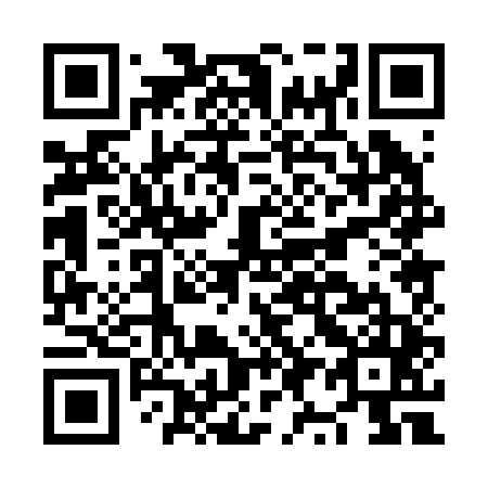 QR code for plate NY 0245