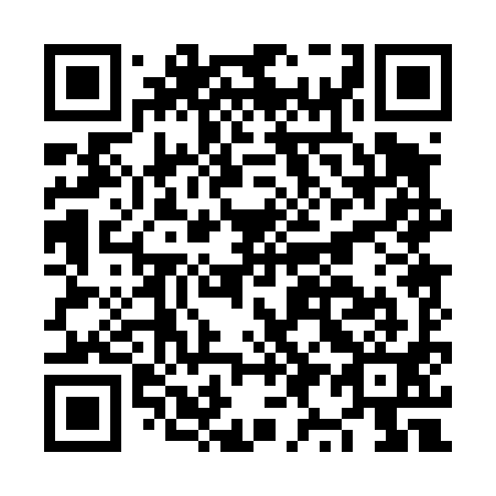 QR code for plate NY 0491