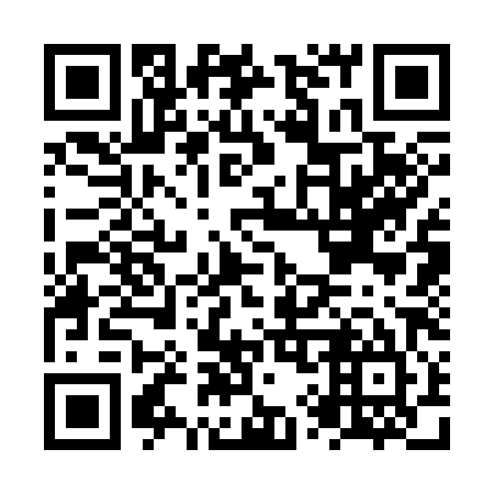 QR code for plate NY 3385