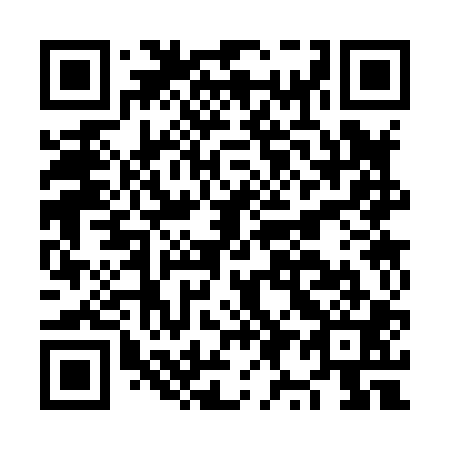 QR code for plate NY 3801