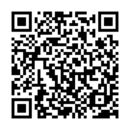 QR code for NY6393