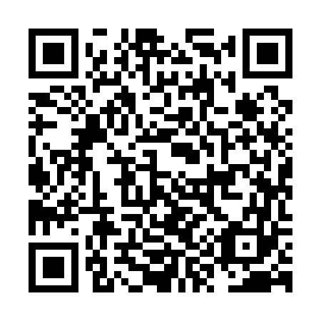 QR code for plate NY 9163