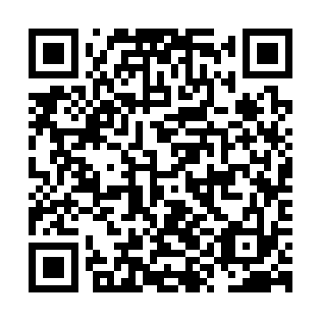 QR code for NYC 333