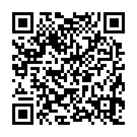 QR code for NYC 375