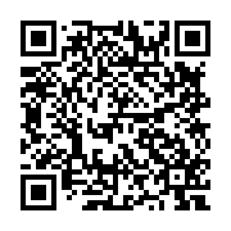 QR code for plate NYC 817