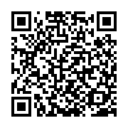 QR code for NYE 249