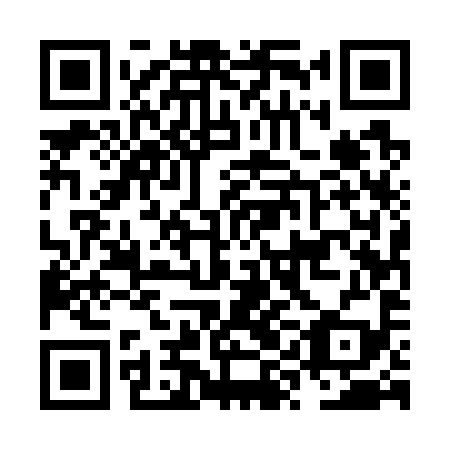 QR code for NYE 799