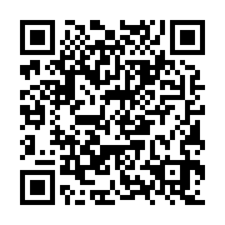 QR code for NYE 833