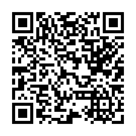 QR code for NYF 385