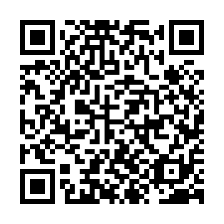 QR code for plate NYF 811